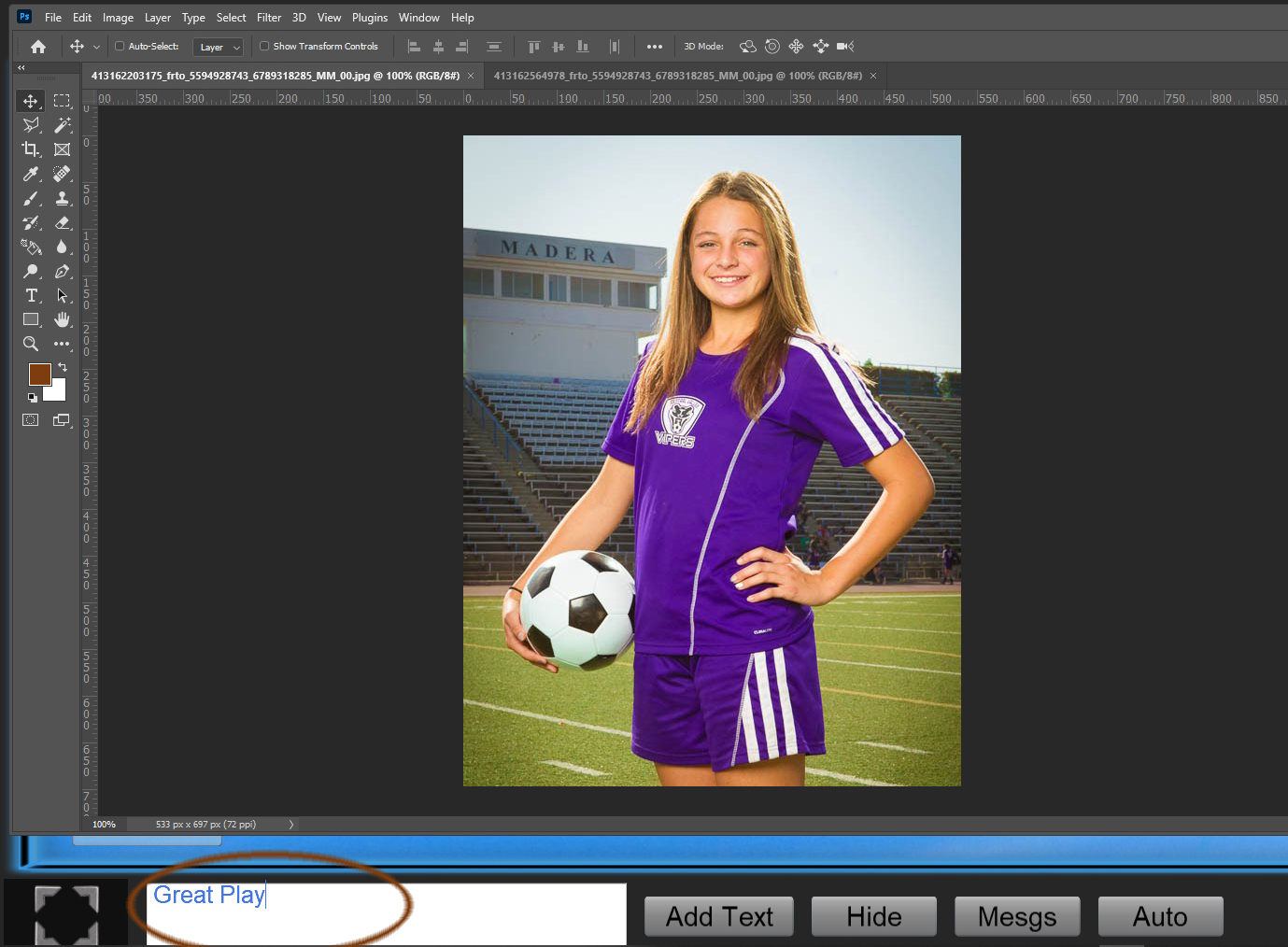 Caption Field